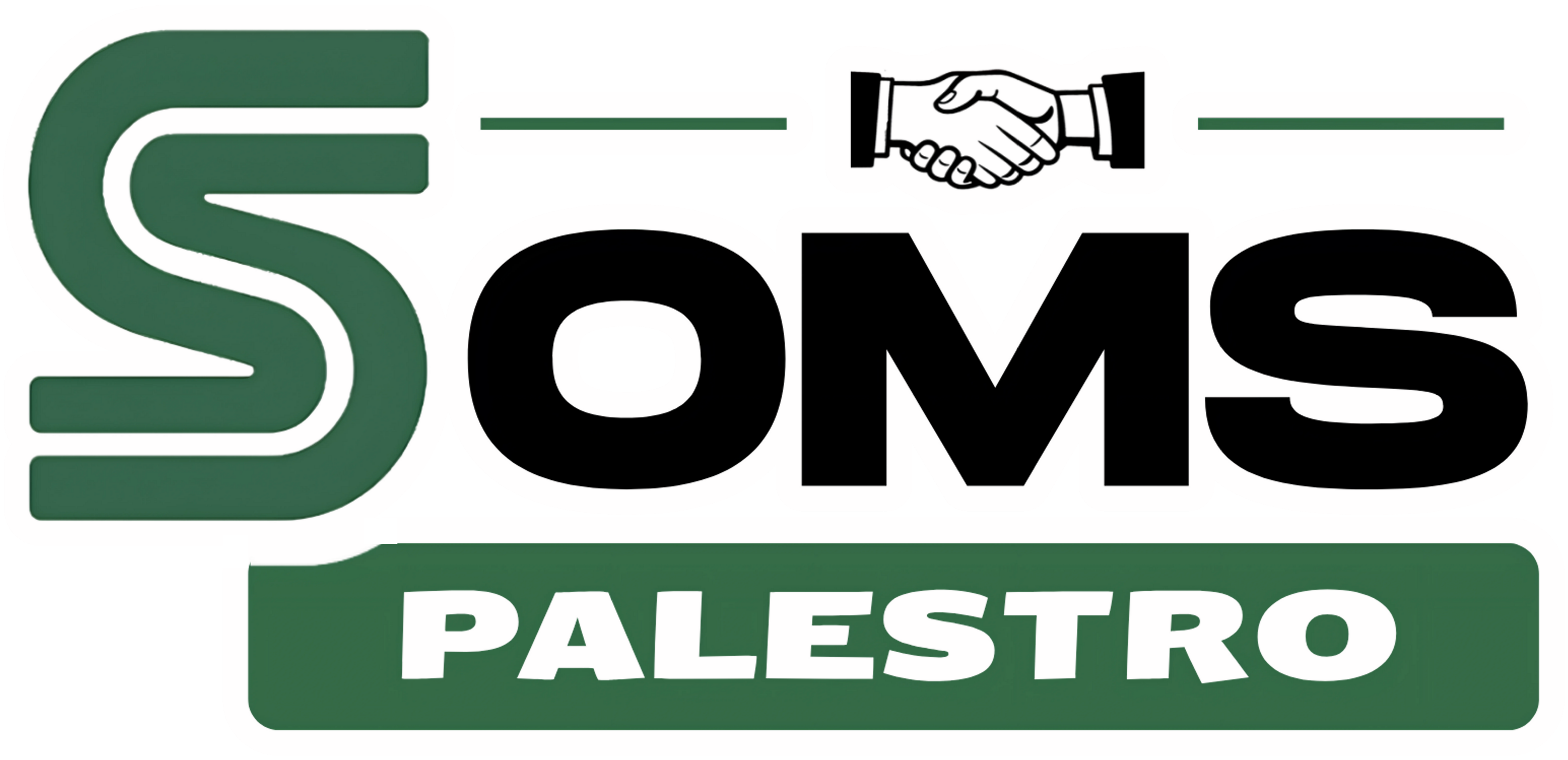 Logo nuovo Soms